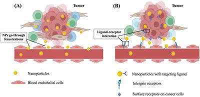Recent advances in surface decoration of nanoparticles in drug delivery